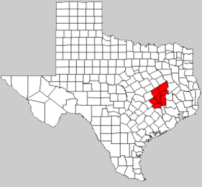 bvtexas